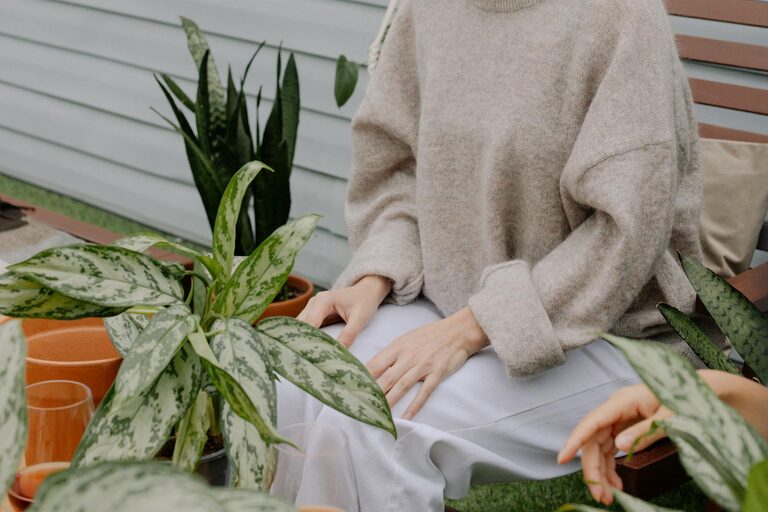 Tips for Creating a Relaxing Garden Space at Home